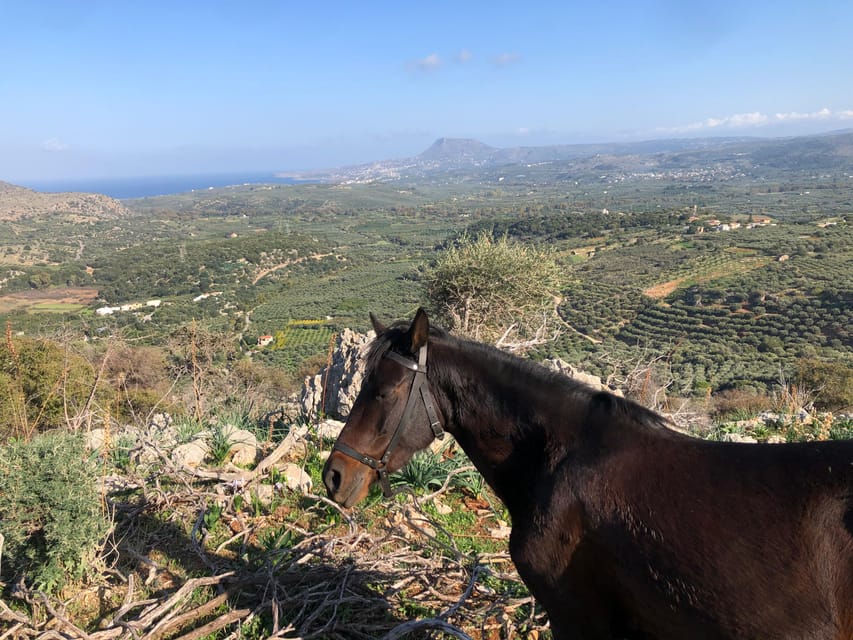 Chania Area: Cooking Class at a Farm in Stylos Village - FAQ