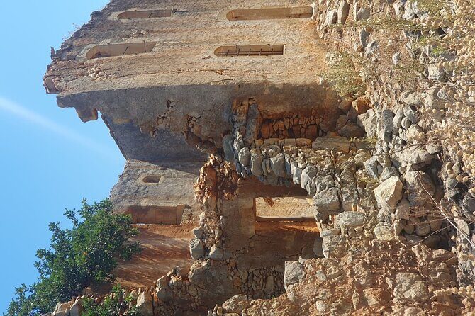 Chania Area: Cooking Class at a Farm in Stylos Village (organic) - Key Highlights You’ll Care About