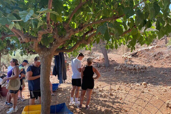 Chania Area: Cooking Class at a Farm in Stylos Village (organic) - Homemade Lemonade, Photos, and the View Break