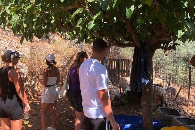 Chania Area: Cooking Class at a Farm in Stylos Village (organic) - Practicalities: Timing, Group Size, and What to Bring