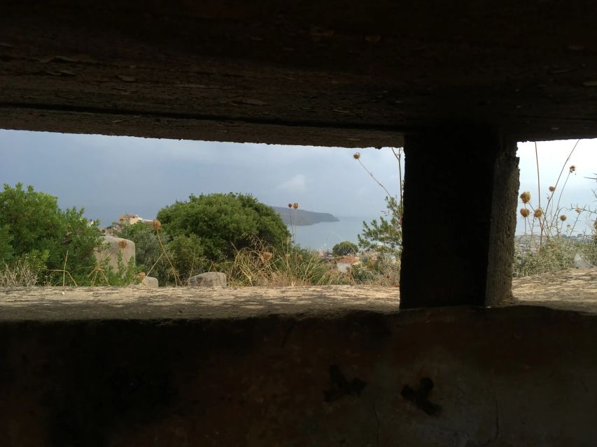 Chania Battle of Crete Private Tour: WW2 Military History - The private WWII museum and war shelter