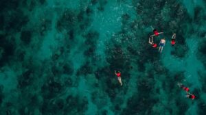 Chania: Boat Trip with Guided Snorkeling Tour - Two snorkeling spots: why this itinerary feels smarter than one-and-done