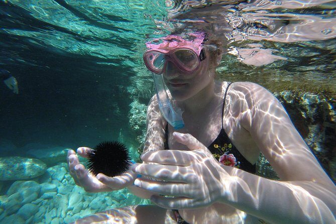 Chania: Boat Trip with Guided Snorkeling Tour & SUP - SUP in Chania: when it happens and how to make it fun