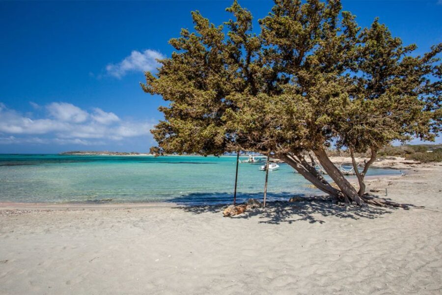Chania: Elafonisi and Milia Mountain with Loungers and Lunch - Price and value check: is $194 per person fair?