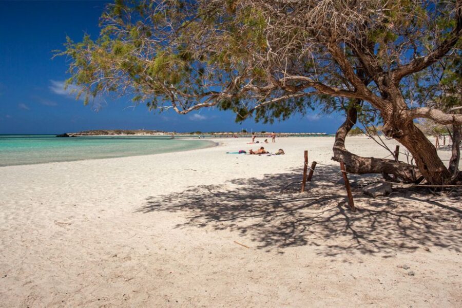 Chania: Elafonisi and Milia Mountain with Loungers and Lunch - What to bring and how to handle the day comfortably