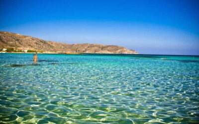 Chania: Elafonissi Beach Superb Semi Private Bus Tour - The 17-seat ride from Chania