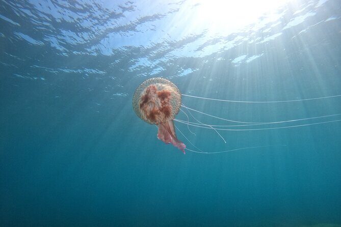 Chania Guided Snorkeling and Boat Excursion - The boat ride out: views, pacing, and a calm start