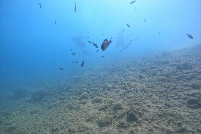 Chania Guided Snorkeling and Boat Excursion - Onboard break: snacks, water, and time to reset