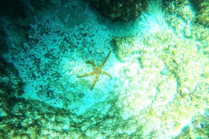 Chania Guided Snorkeling and Boat Excursion - Who should book this Chania snorkeling tour