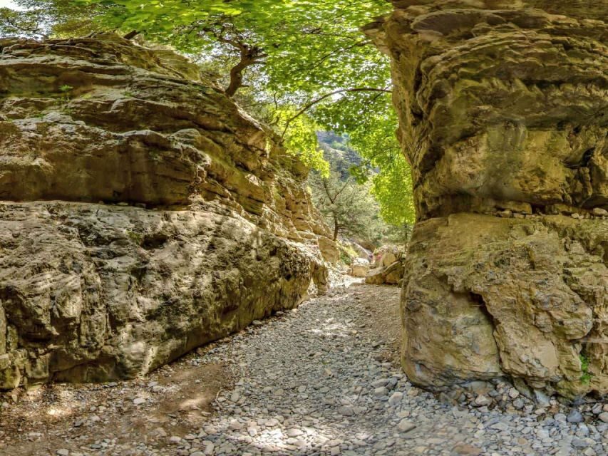 Chania: Imbros Gorge and Libyan Sea Day Tour - Imbros Gorge Walking: What the 3-Hour Route Really Feels Like