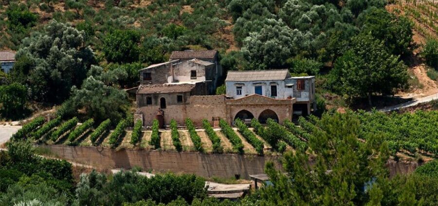 Chania: Milia Mountain Tour w/Lunch Olive Oil/Wine Tastings - Price and value: what you’re really paying for