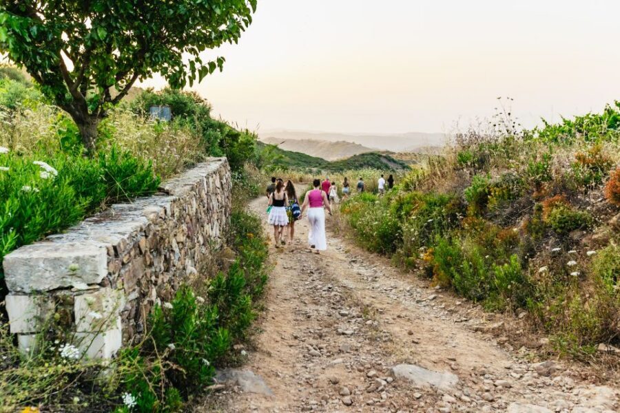 Chania: Off-Road Tour at Sunset - The Cretan Meze Stop: Food, Wine, and Real Taverna Atmosphere