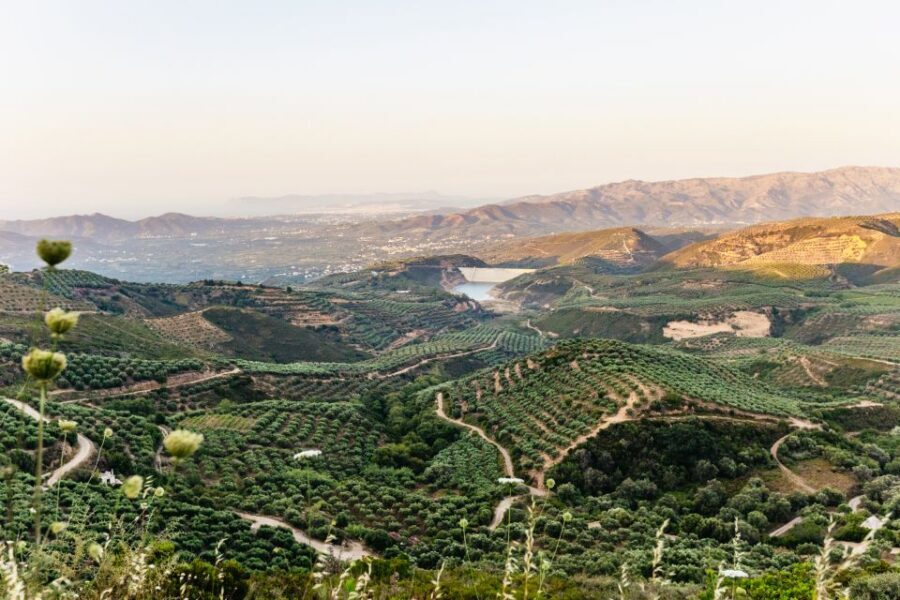Chania: Off-Road Tour at Sunset - What to Expect on the Vehicle (Comfort, Guides, and Group Vibe)