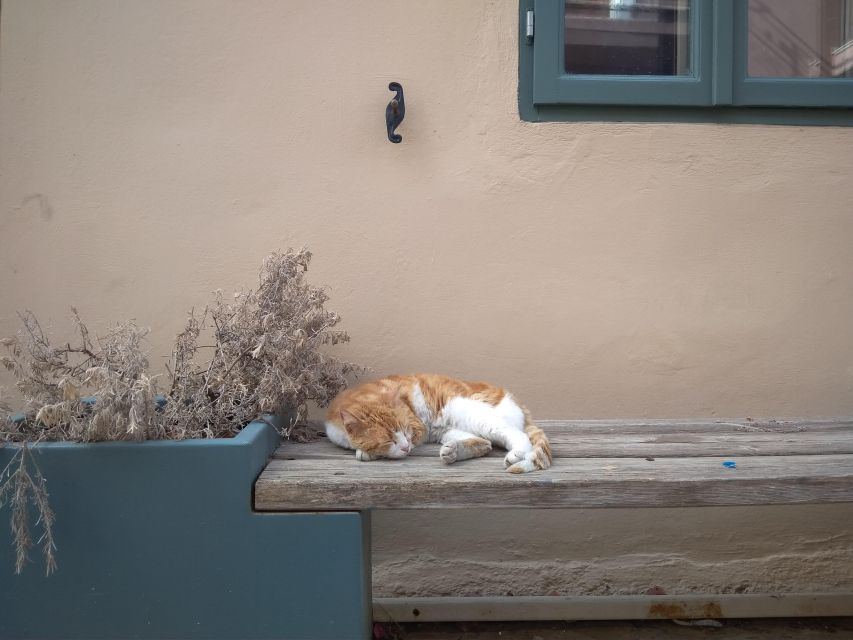 Chania Old Town: Artisans & Sightseeing Walking Tour - Local workshops and the return of old skills