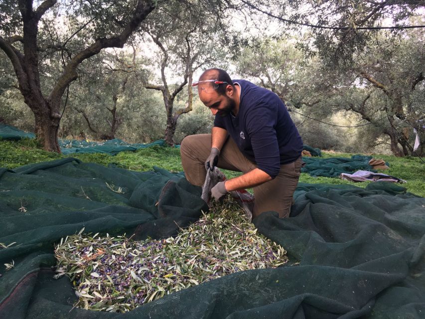Chania Private Olive Oil Tour: Oil Tasting & Villages Tour - Comparing the medieval mill with modern production