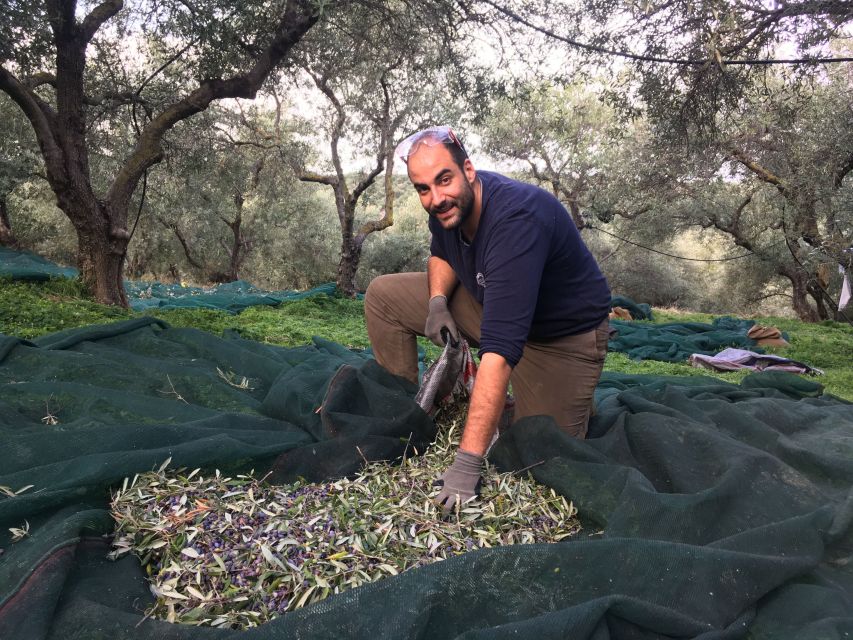 Chania Private Olive Oil Tour: Oil Tasting & Villages Tour - Guide quality, transport, and the private format