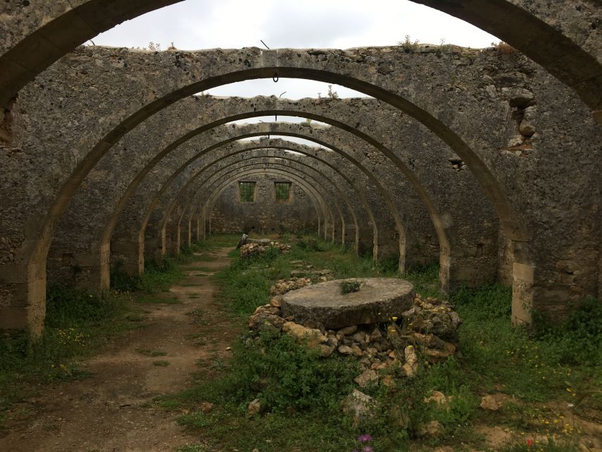 Chania Private Olive Oil Tour: Oil Tasting & Villages Tour - Inside a private olive grove with a local producer