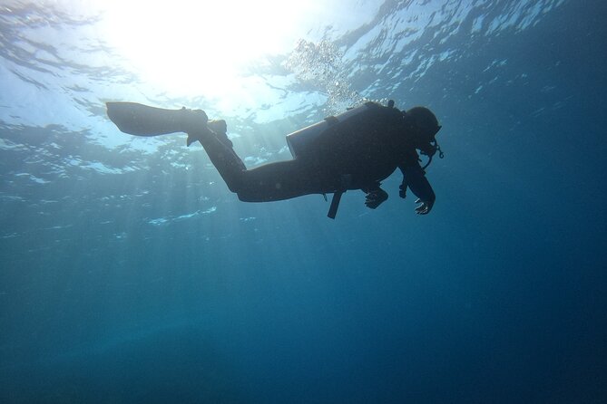 Chania Scuba Diving 2 Shore Dives(Receive Certification) - Fruit, water, and a useful pause