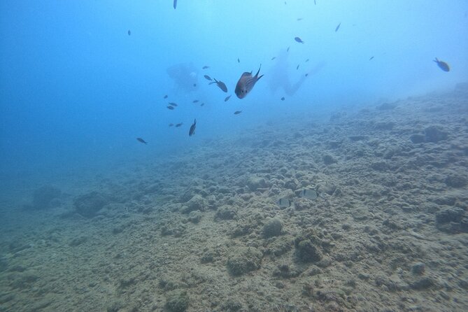 Chania Scuba Diving for Beginners - From Kalyves to your first underwater session