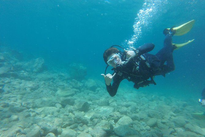 Chania: Scuba Diving for Beginners - Going Down to 8 Meters: Marine Life for First-Timers