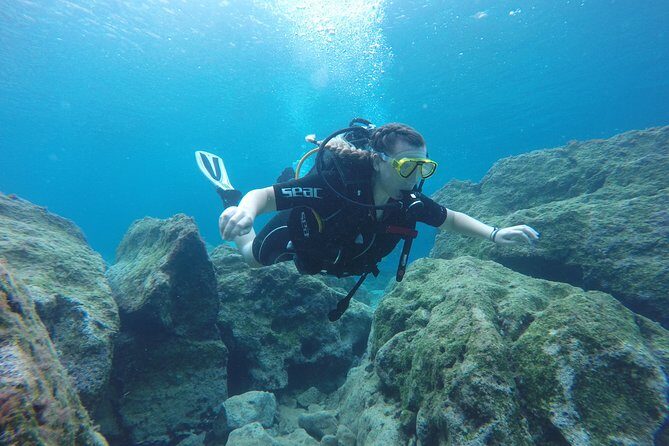 Chania: Scuba Diving for Beginners - The Value Math: Is $140 for 3 Hours Fair?