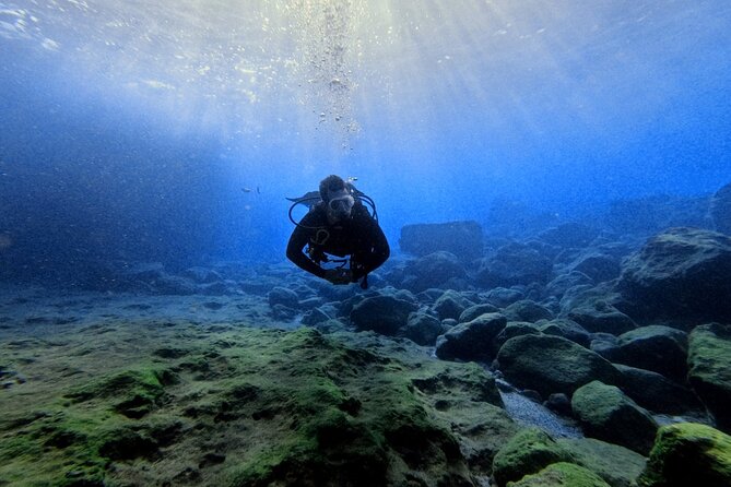Chania Scuba Diving | Shore Dives | Certified Divers - Getting ready for one or two sessions