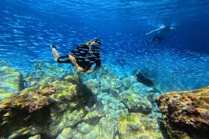 Chania Scuba Diving | Shore Dives | Certified Divers - Is $144.49 a fair price?