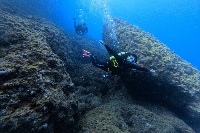 Chania Scuba Diving | Shore Dives | Certified Divers - Who should book this Almyrida outing?