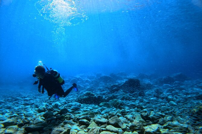 Chania Scuba Diving | Shore Dives | Certified Divers - Reaching the sheltered marine nursery