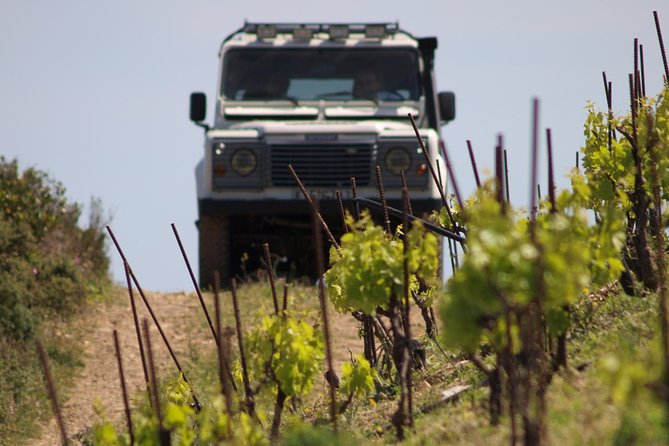 Chania Shore Excursion Off Road Vineyard and Winery Tour Half Day - How the guide affects the experience