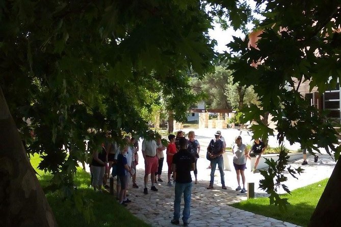 Chania Shore Excursion Off Road Vineyard and Winery Tour Half Day - Is the $107.17 price fair?