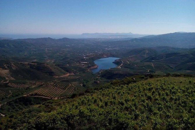 Chania Shore Excursion Off Road Vineyard and Winery Tour Half Day - Who should book this Crete shore excursion?