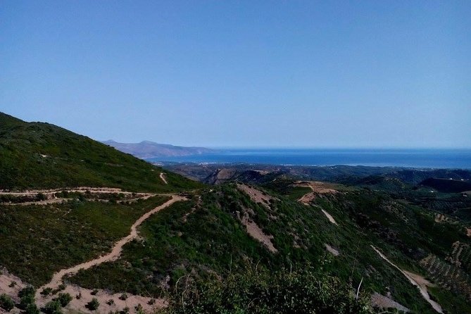 Chania Shore Excursion Off Road Vineyard and Winery Tour Half Day - Timing, port planning, and cancellation