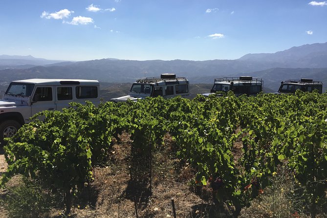 Chania Shore Excursion Off Road Vineyard and Winery Tour Half Day - My call: book it for the ride as much as the wine