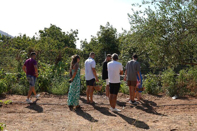 Chania Sourdough Bread Class - Olive Oil Tasting - Price and value: what you get for $108.13