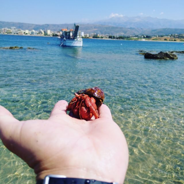 Chania Town: Glass-Bottom Boat Cruise to Thodorou & Lazareta - Glass-Bottom Windows: The Underwater “Fish Show” Feeling