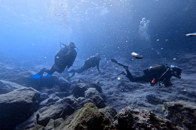 Chania | Try Scuba Diving | Introduction Dive - Key points at a glance