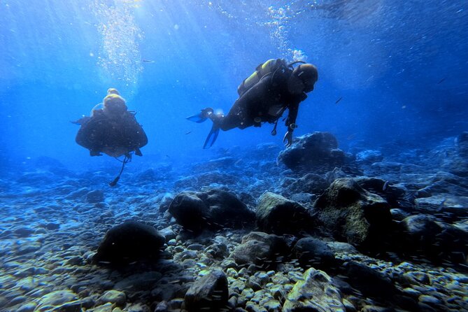 Chania | Try Scuba Diving | Introduction Dive - Photos, videos, and the memory of the session