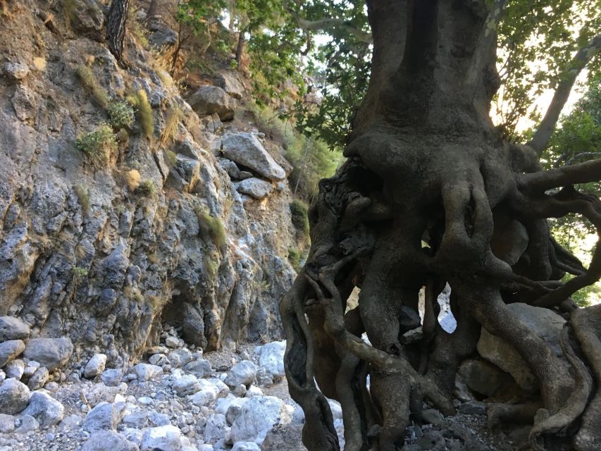 Chania White Mountains Private Tour: From Sea to Summit! - Samaria Gorge without committing to a full hike