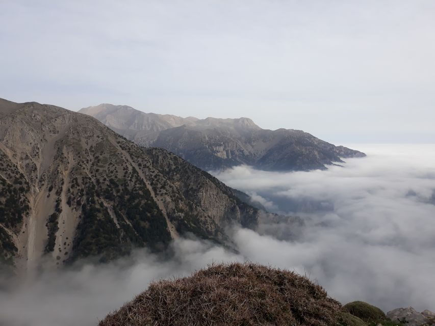 Chania: White Mountains Safari Tour with Lunch and Tastings - Key highlights you’ll actually care about