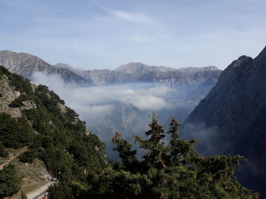 Chania: White Mountains Safari Tour with Lunch and Tastings - From your Chania pickup to Ano Vouves and a multi-thousand-year olive tree