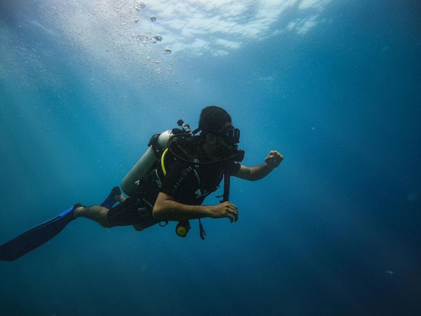 Chania:Try Scuba Diving 2shore dives(Receive Certification) - Price and value: why $200 can make sense for this setup