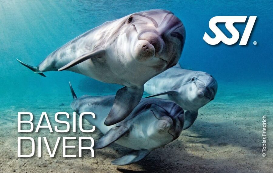 Chania:Try Scuba Diving 2shore dives(Receive Certification) - Best fit: who should book this and who should skip