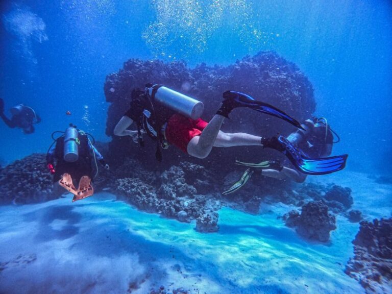 Chania:Try Scuba Diving 2shore dives(Receive Certification) - The 5-hour rhythm: pickup, safety briefing, and two shore sessions
