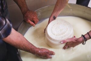 Cheese & Wine Trails - Naxos - Farm brunch and the arseniko cheese experience