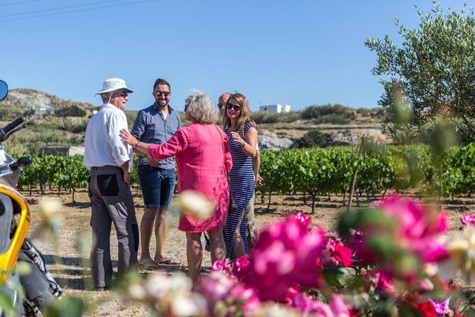 Cheese & Wine Trails - Naxos - Price and value: is $330.39 per person fair?