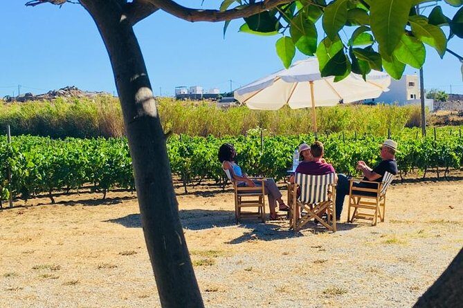 Cheese & Wine Trails - Naxos - Tips to enjoy the day without rushing or missing things