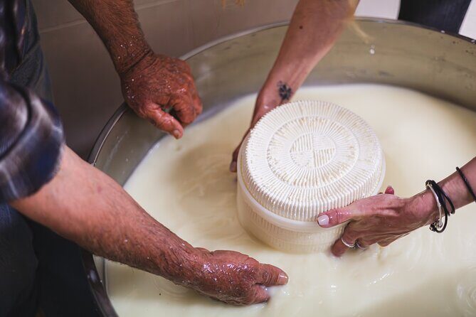 Cheese & Wine Trails - Naxos - Farm brunch and the arseniko cheese experience