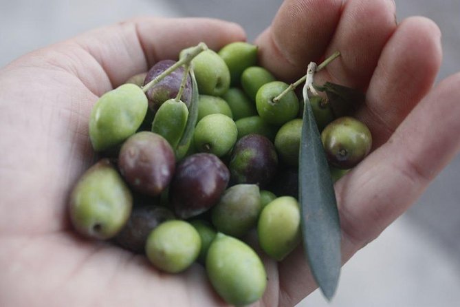 Cook with Locals | Cretan cooking Class at Archanes Village - Starting in Ano Archanes, not just at a cooking studio