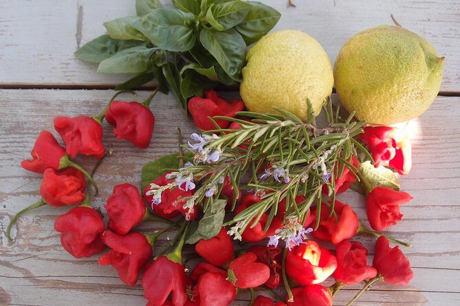 Cooking class, traditional Greek cuisine, on a Greek island - Optional wine and cheese pairing: worth it if you love tastings